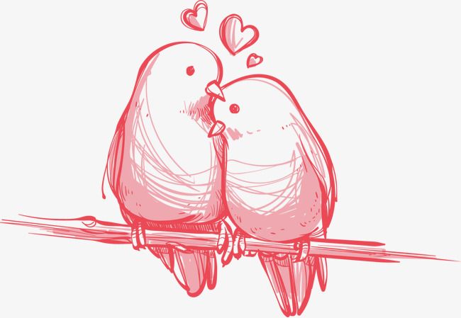 Detail Love Birds Png Nomer 11