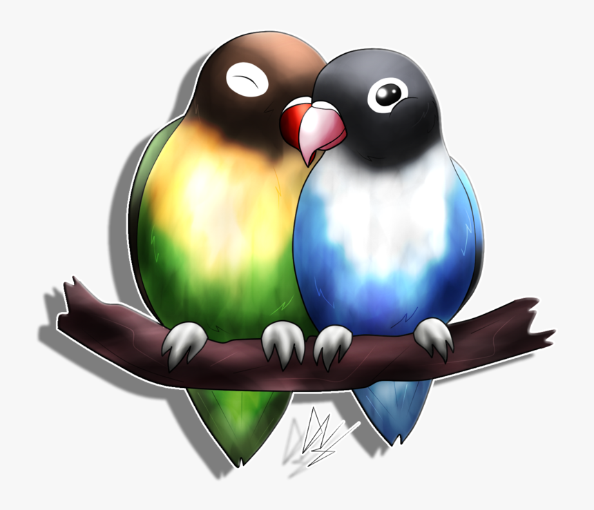 Detail Love Birds Png Nomer 22