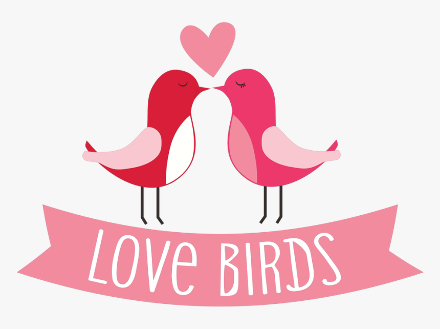 Detail Love Birds Png Nomer 35