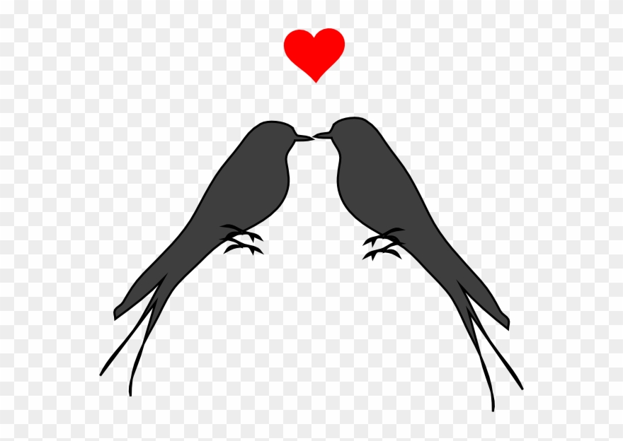 Detail Love Birds Png Nomer 9