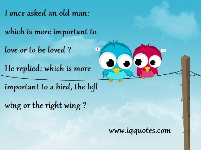 Detail Love Birds Quotes Nomer 2