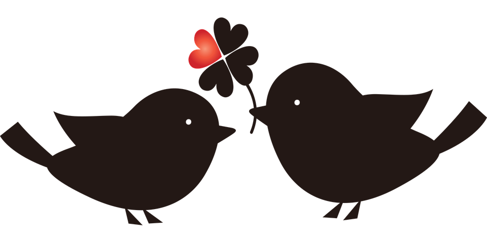 Detail Love Birds Vector Png Nomer 40