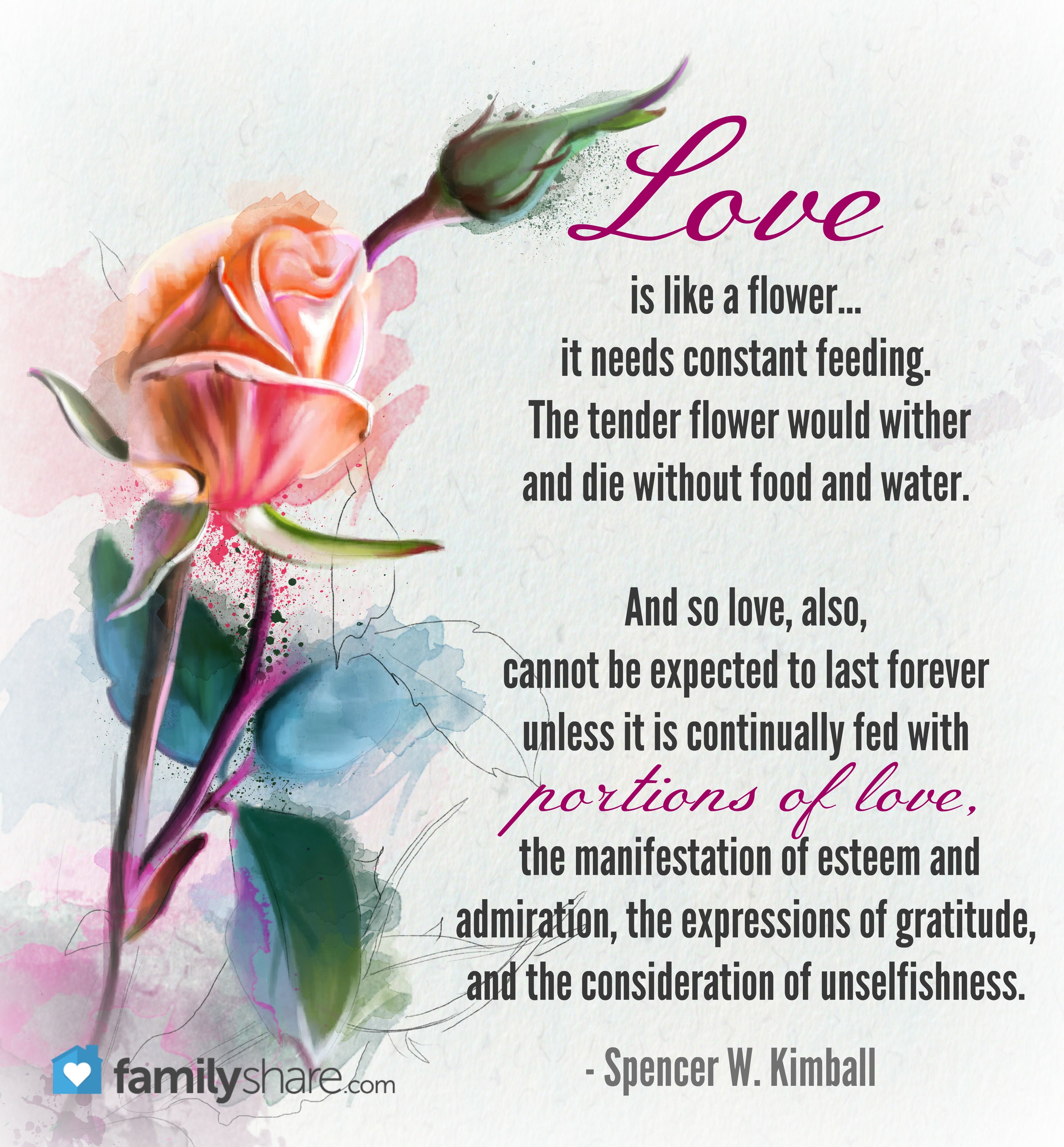 Love Is A Flower - KibrisPDR