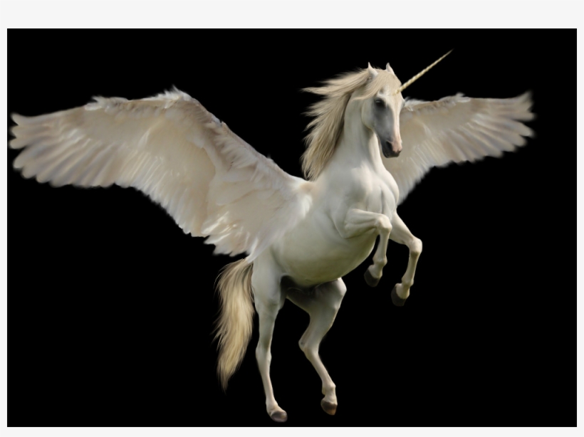 Detail Pegasus Images Free Nomer 35