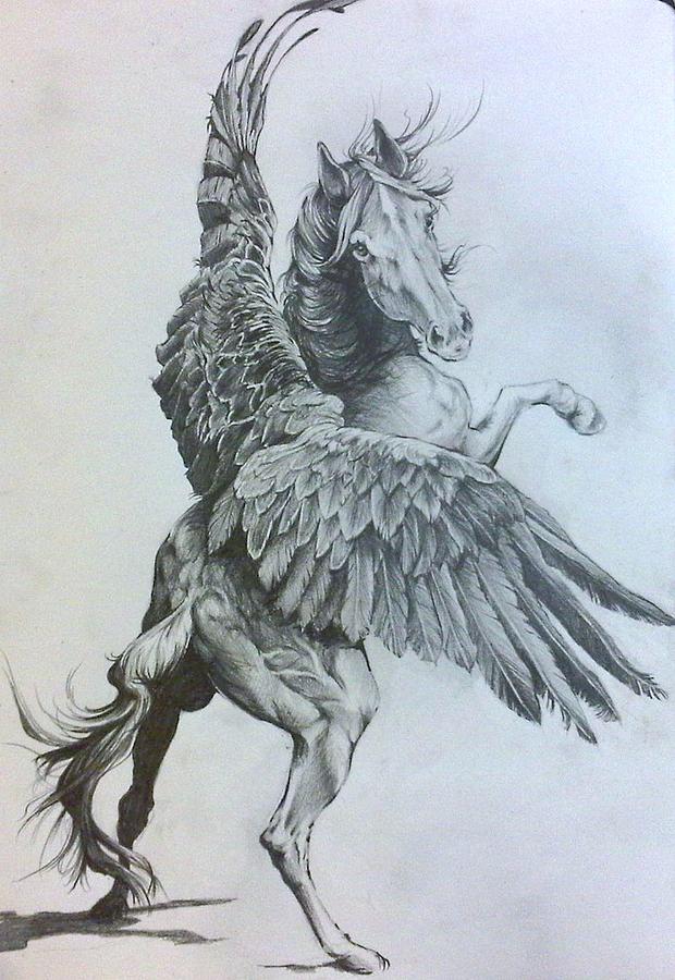Detail Pegasus Images Free Nomer 45