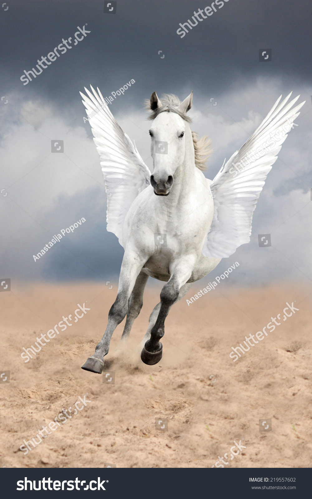 Detail Pegasus Images Free Nomer 51