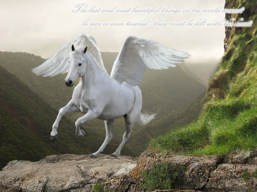 Detail Pegasus Photo Nomer 23