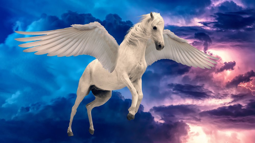 Detail Pegasus Photo Nomer 28