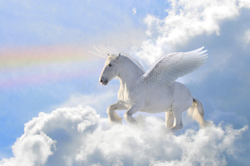 Detail Pegasus Photo Nomer 32