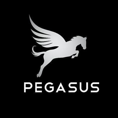 Detail Pegasus Pics Nomer 32