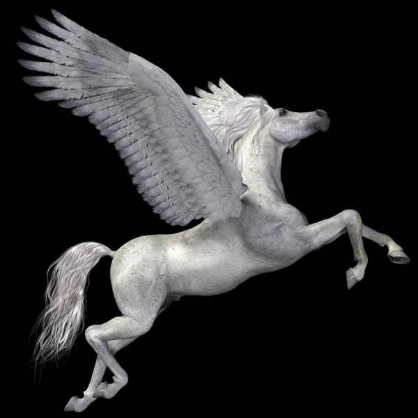 Detail Pegasus Pics Nomer 37