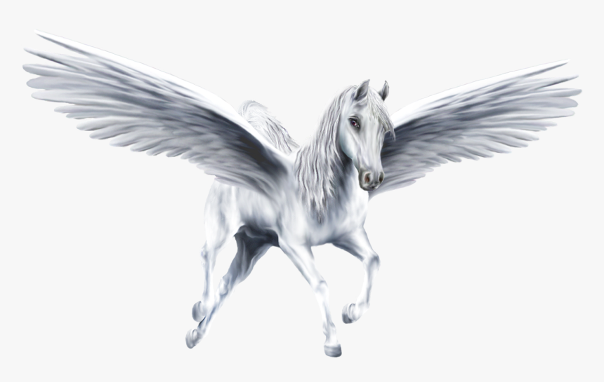 Pegasus Transparent - KibrisPDR