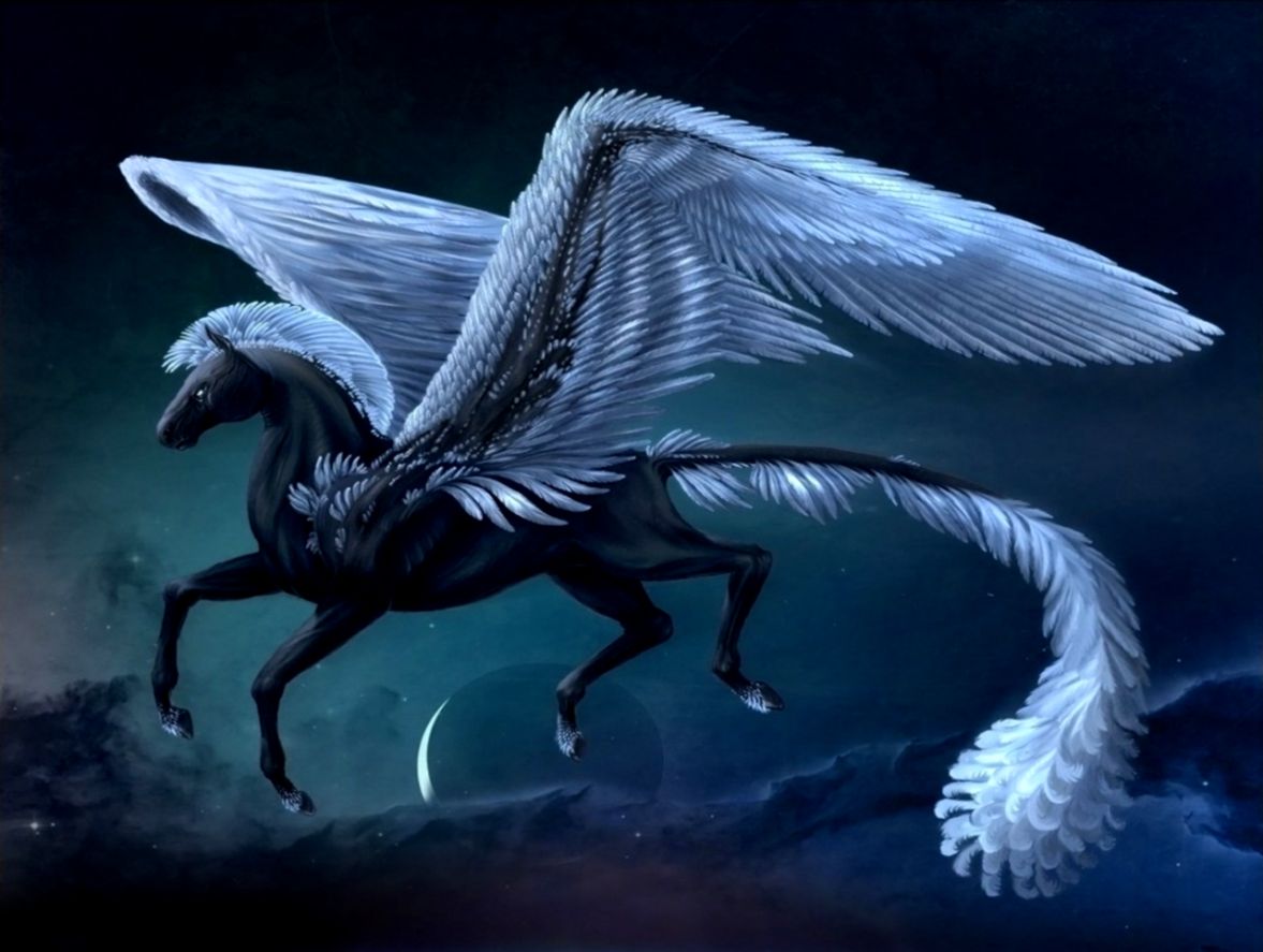 Detail Pegasus Wallpaper Nomer 31