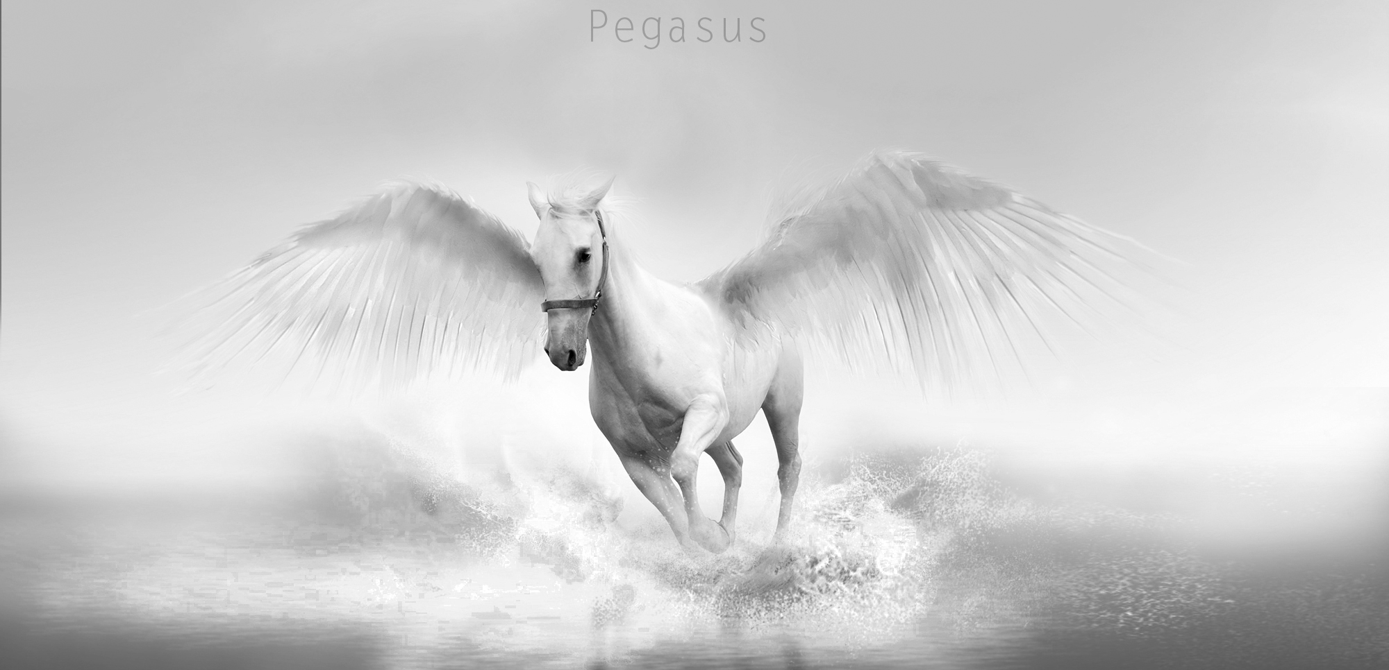 Detail Pegasus Wallpaper Nomer 46