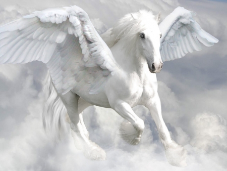 Detail Pegasus Wallpaper Nomer 48