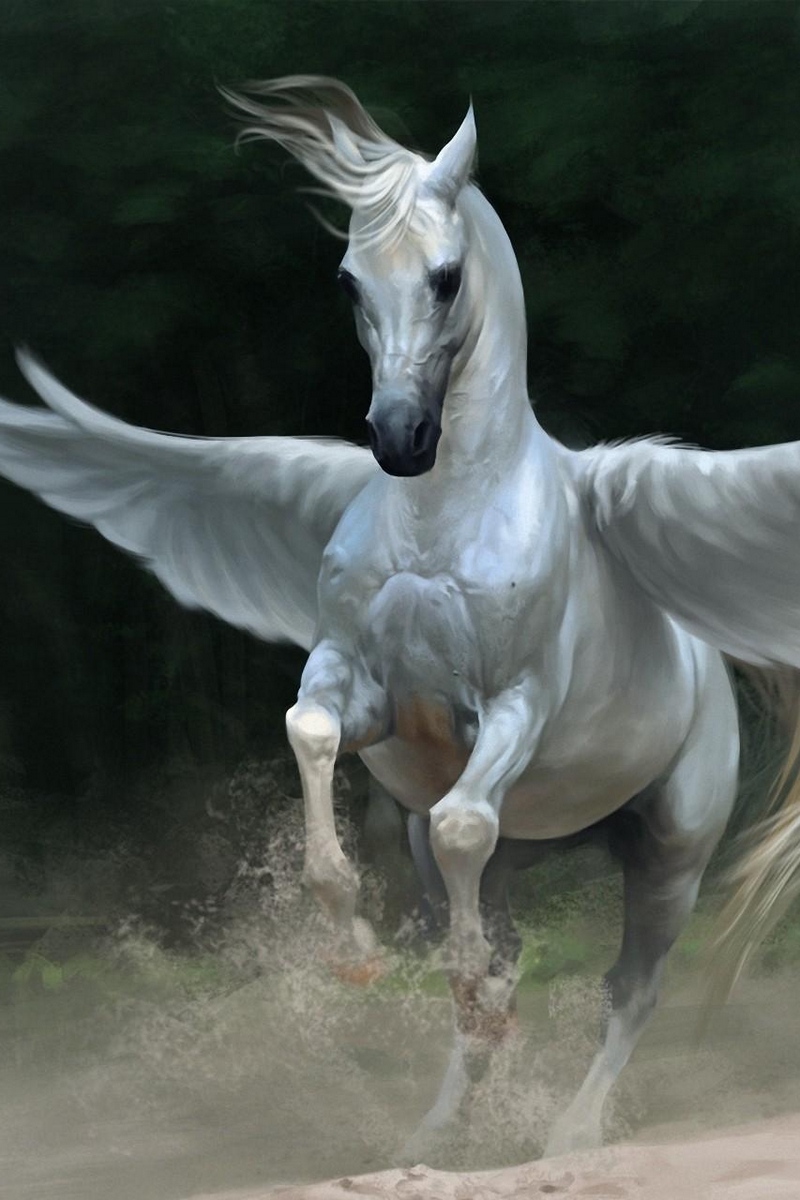 Detail Pegasus Wallpaper Nomer 55