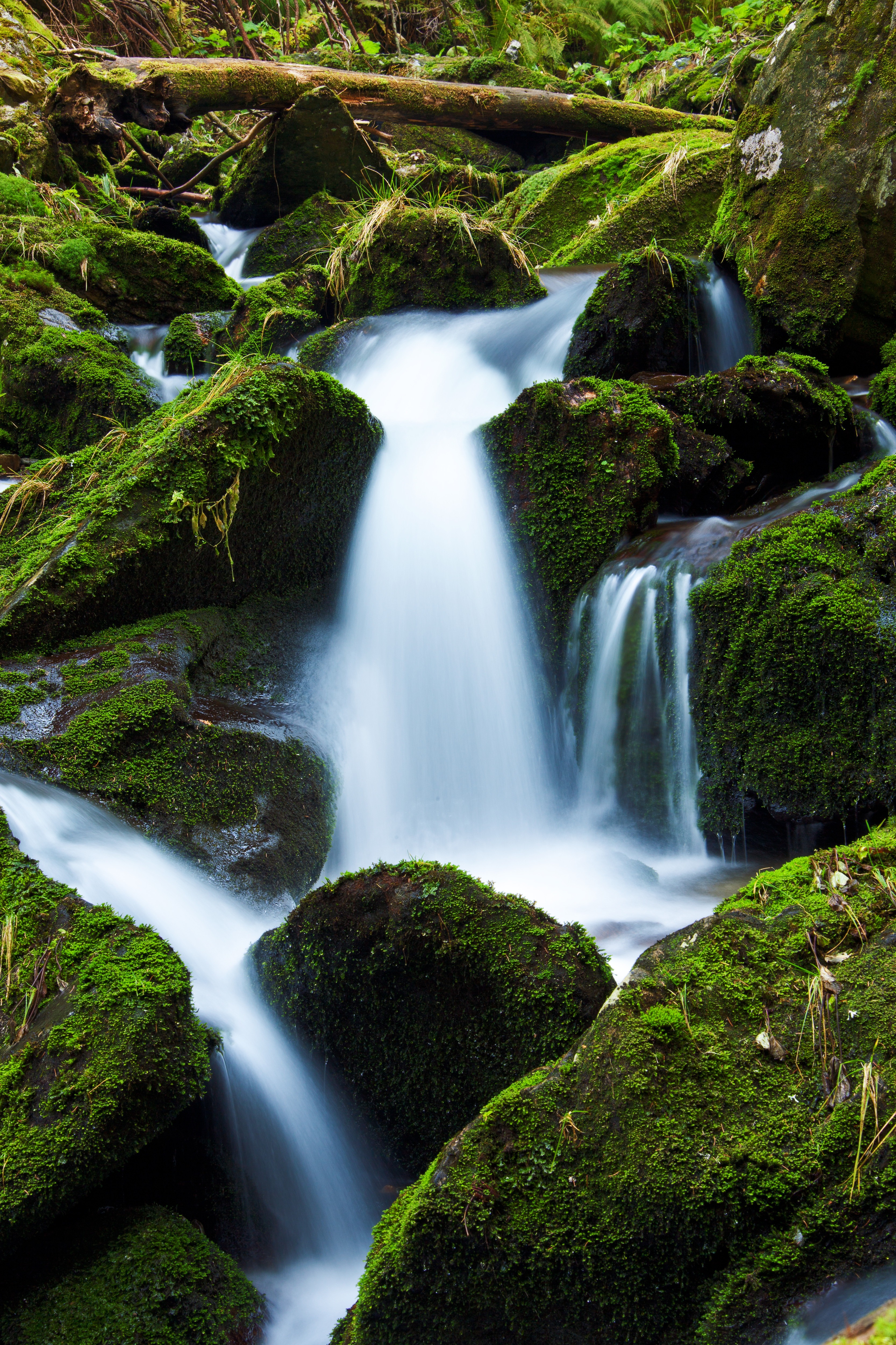 Detail Pegunungan Air Terjun Nomer 18