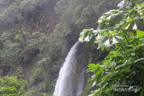 Detail Pegunungan Air Terjun Nomer 38