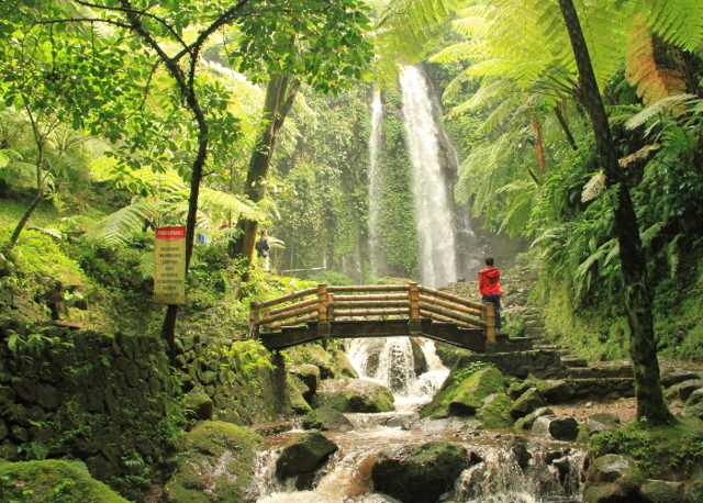 Detail Pegunungan Air Terjun Nomer 8