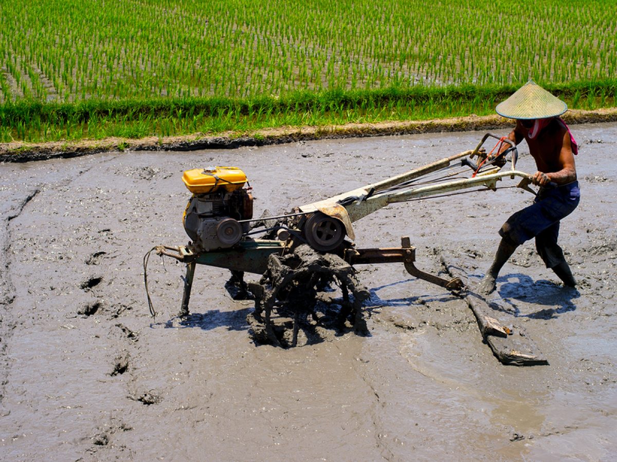 Detail Pekerjaan Di Bidang Pertanian Nomer 25