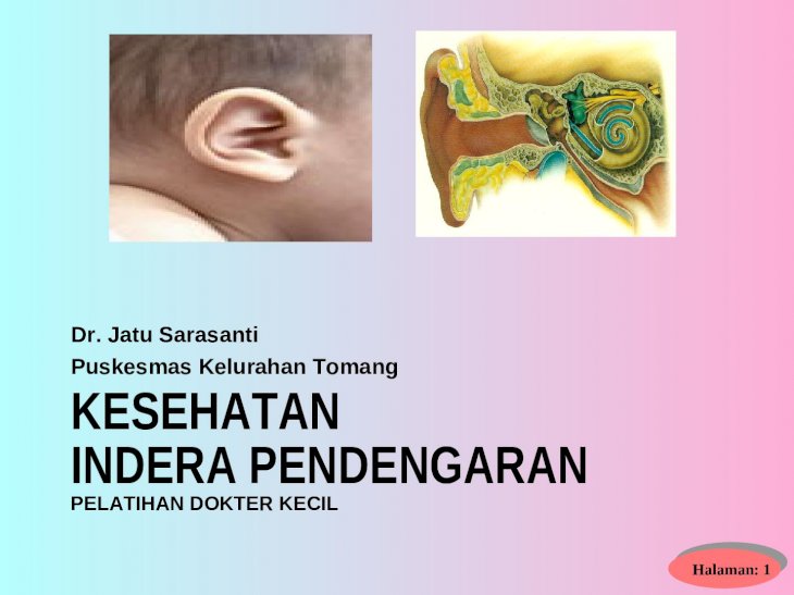 Detail Pelatihan Dokter Kecil Ppt Nomer 20