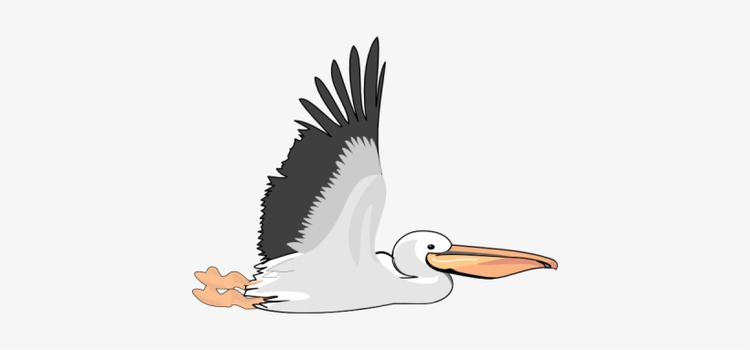 Detail Pelican Clipart Nomer 15