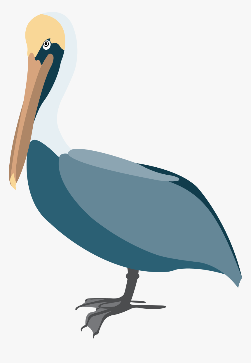 Detail Pelican Clipart Nomer 42