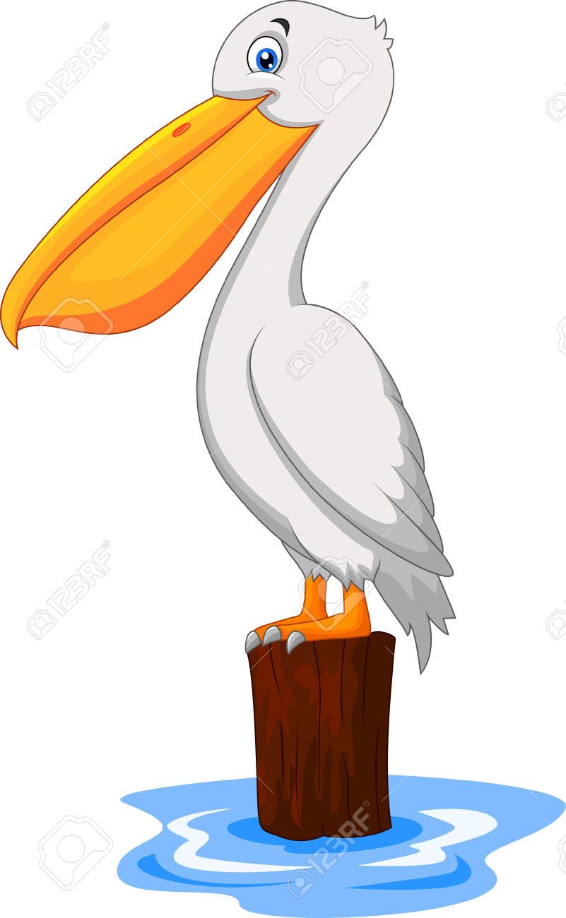 Detail Pelican Clipart Nomer 5