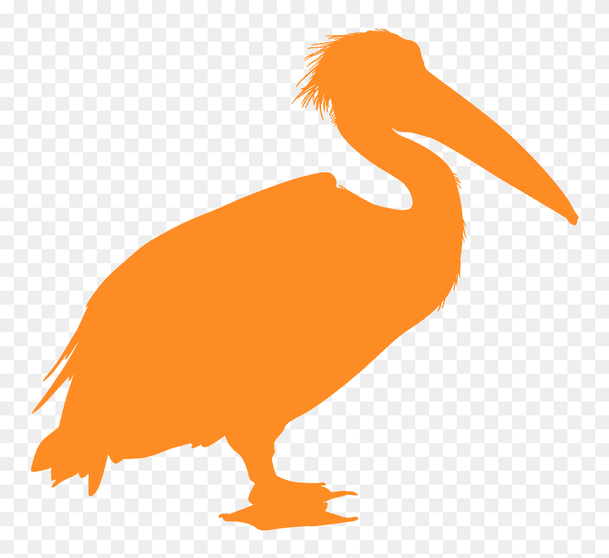 Detail Pelican Clipart Nomer 47