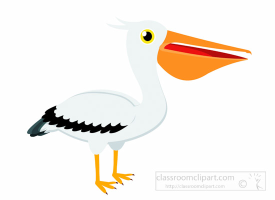 Detail Pelican Clipart Nomer 50