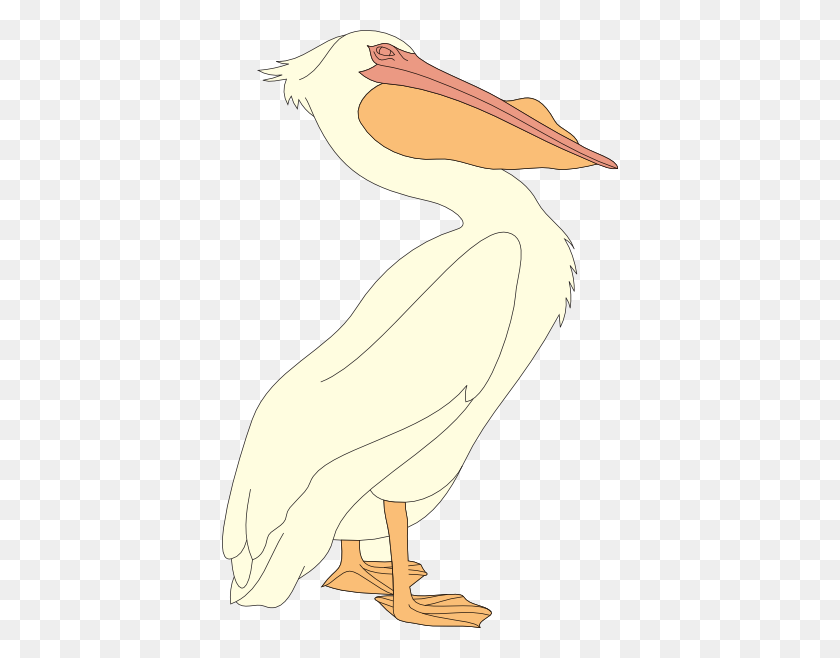 Detail Pelican Clipart Nomer 53