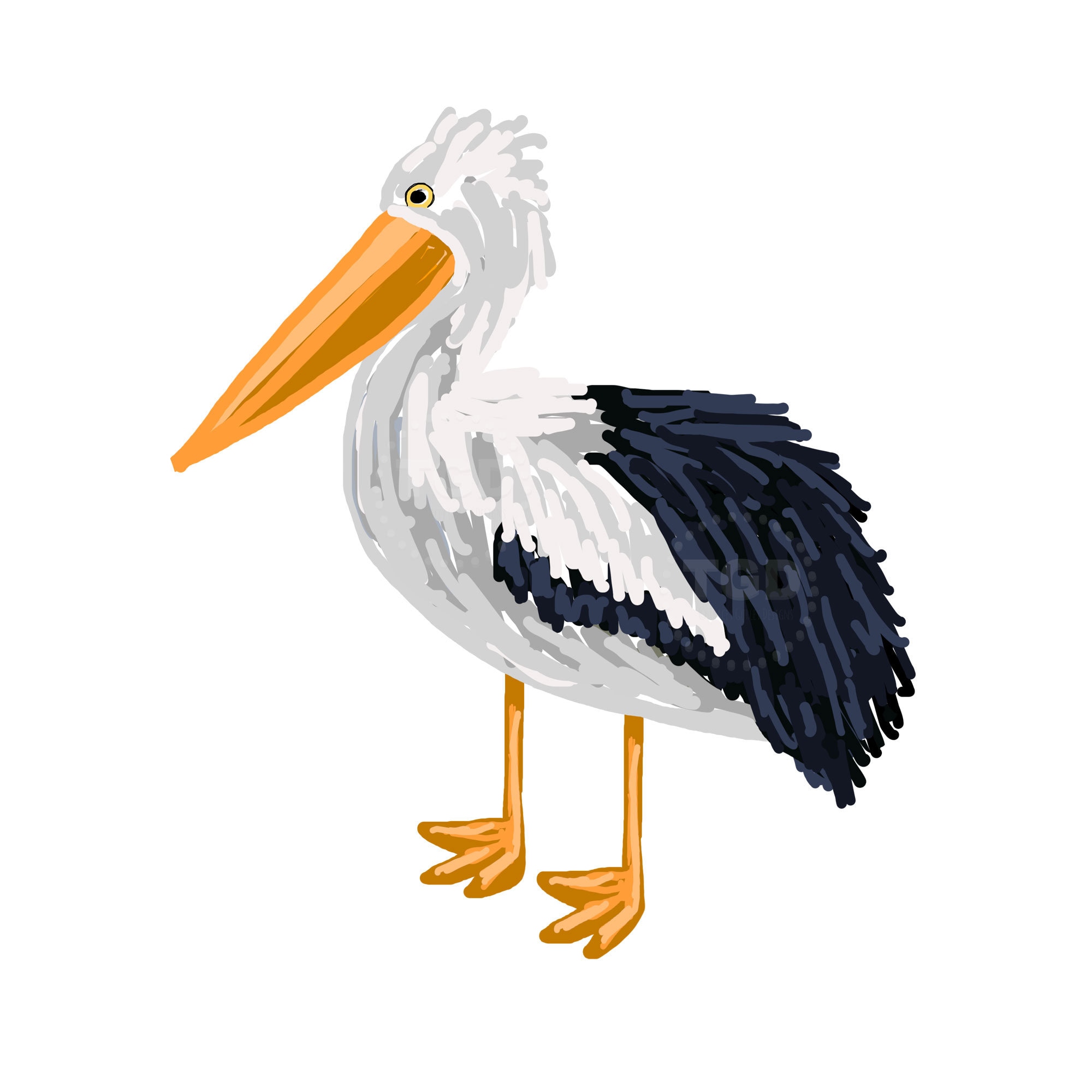 Detail Pelican Clipart Nomer 6