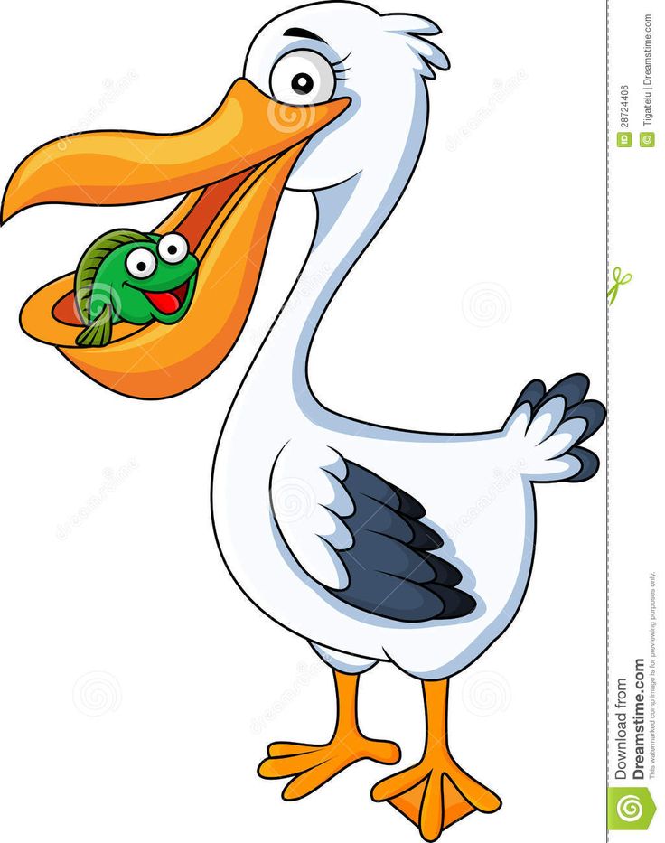 Detail Pelican Clipart Nomer 8