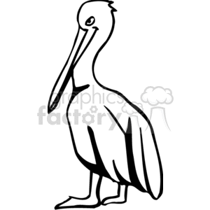 Detail Pelican Clipart Black And White Nomer 11