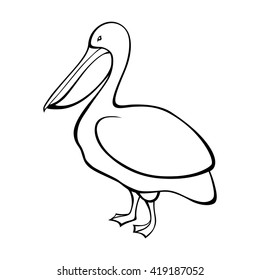 Detail Pelican Clipart Black And White Nomer 12