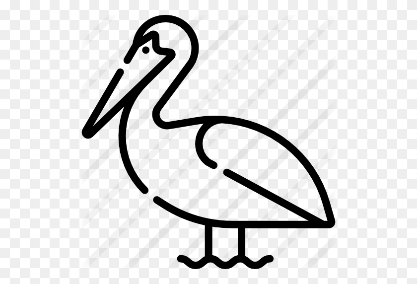 Detail Pelican Clipart Black And White Nomer 15