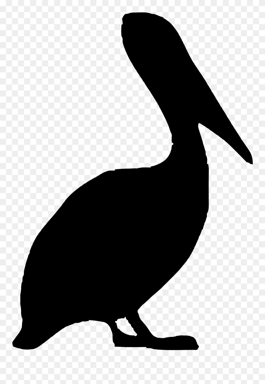 Detail Pelican Clipart Black And White Nomer 19