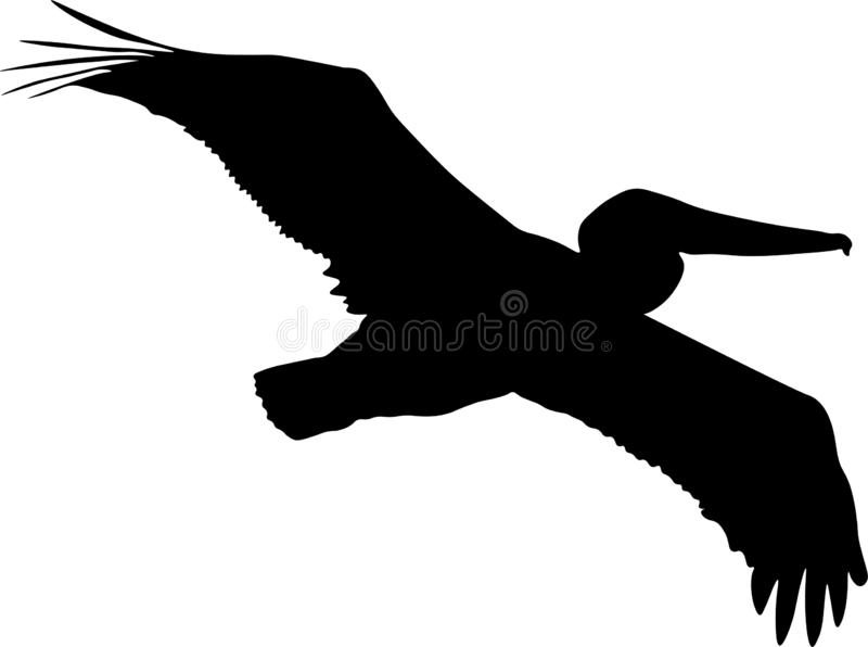 Detail Pelican Clipart Black And White Nomer 22