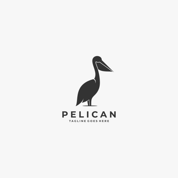 Detail Pelican Clipart Black And White Nomer 32