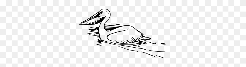 Detail Pelican Clipart Black And White Nomer 40