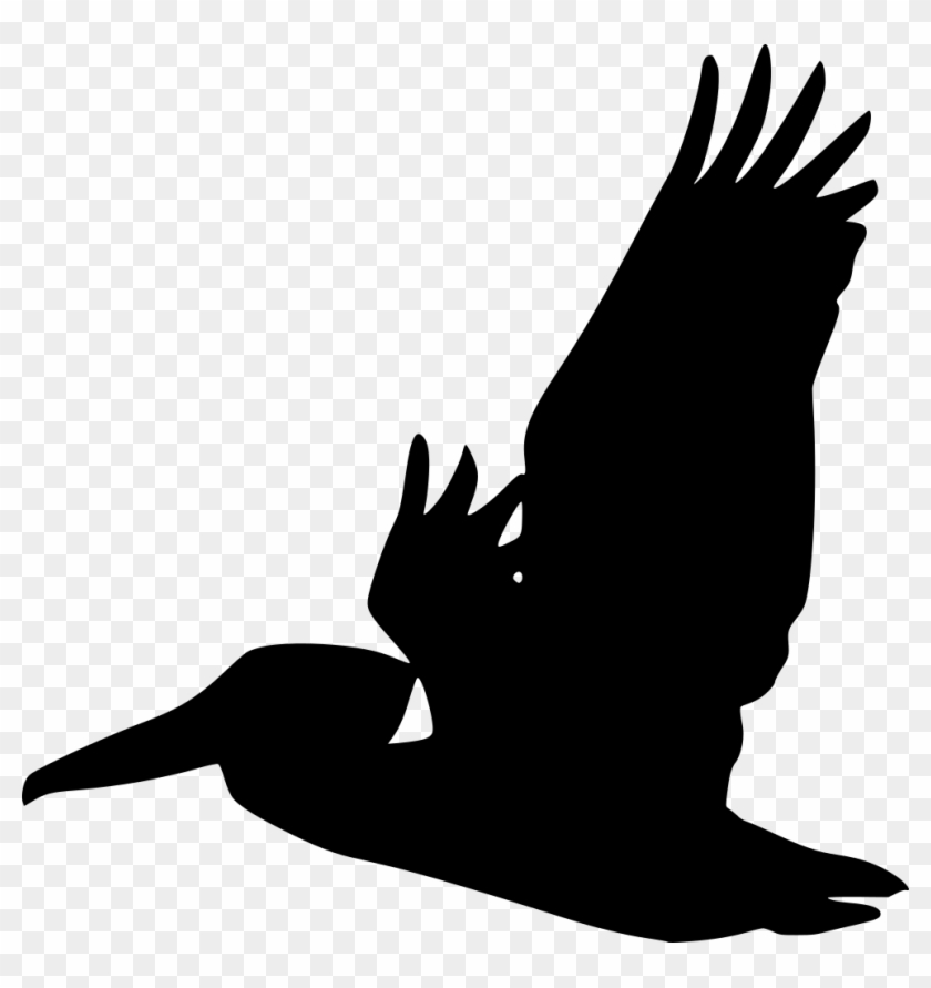 Detail Pelican Clipart Black And White Nomer 41