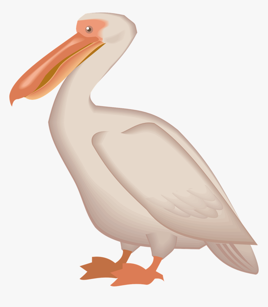 Detail Pelican Clipart Free Nomer 20