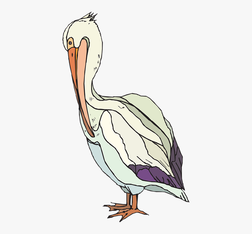 Detail Pelican Clipart Free Nomer 28