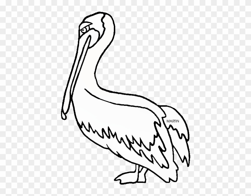 Detail Pelican Images Clip Art Nomer 29