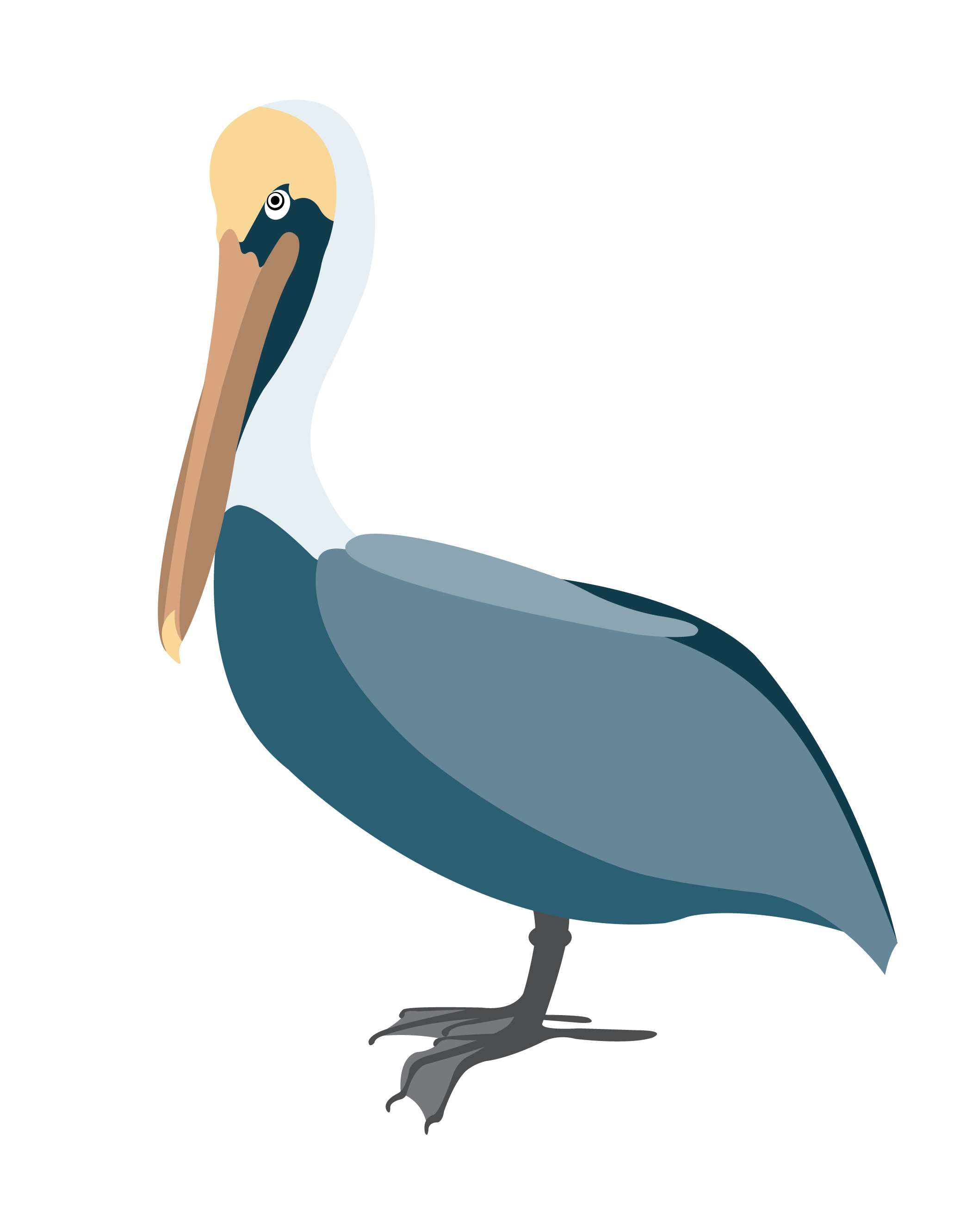 Detail Pelican Images Clip Art Nomer 39
