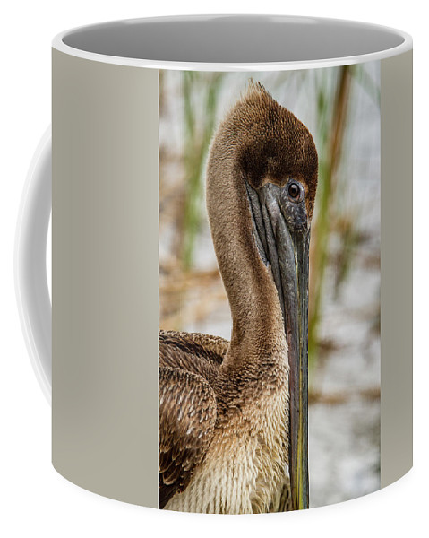 Detail Pelican Travel Mug Nomer 44