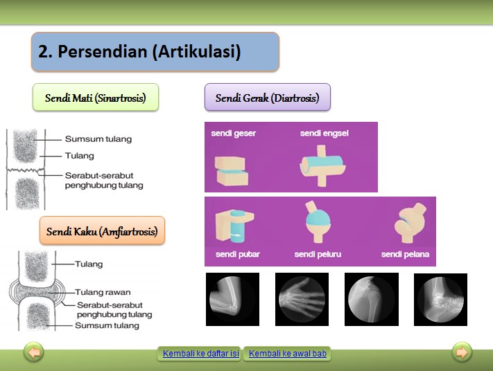 Detail Pemanasan Global Fisika Kelas 11 Ppt Nomer 28