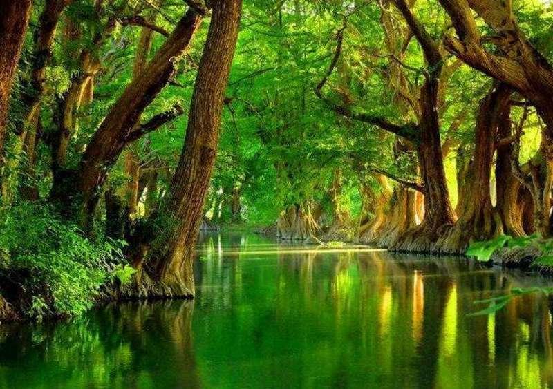 Detail Pemandangan 3d Resolusi Tinggi Nomer 14