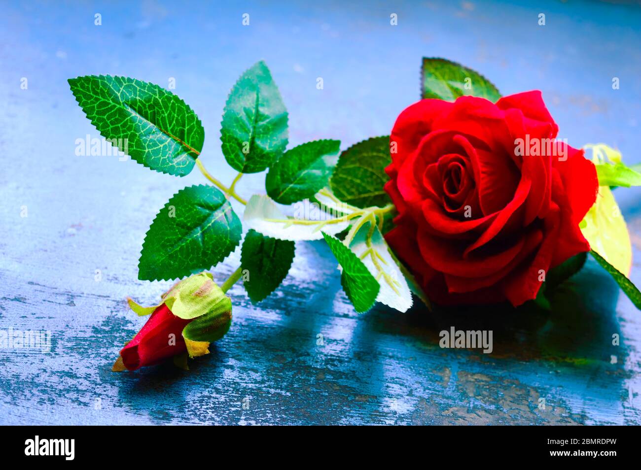 Detail Love Rose Flower Images Nomer 30