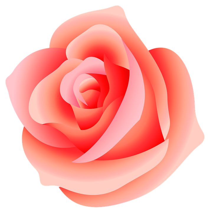 Detail Love Rose Flower Images Free Download Nomer 37